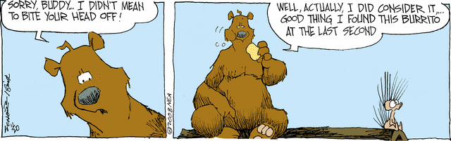 grizzwells
